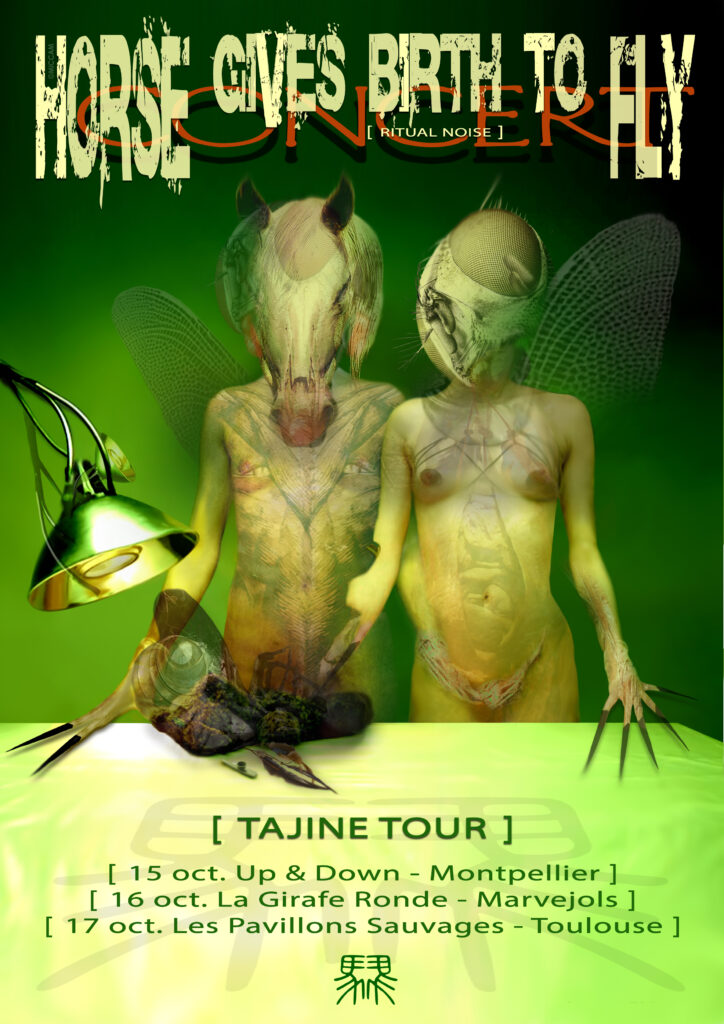 affiche horse gives birth to fly- tajine tour 2015