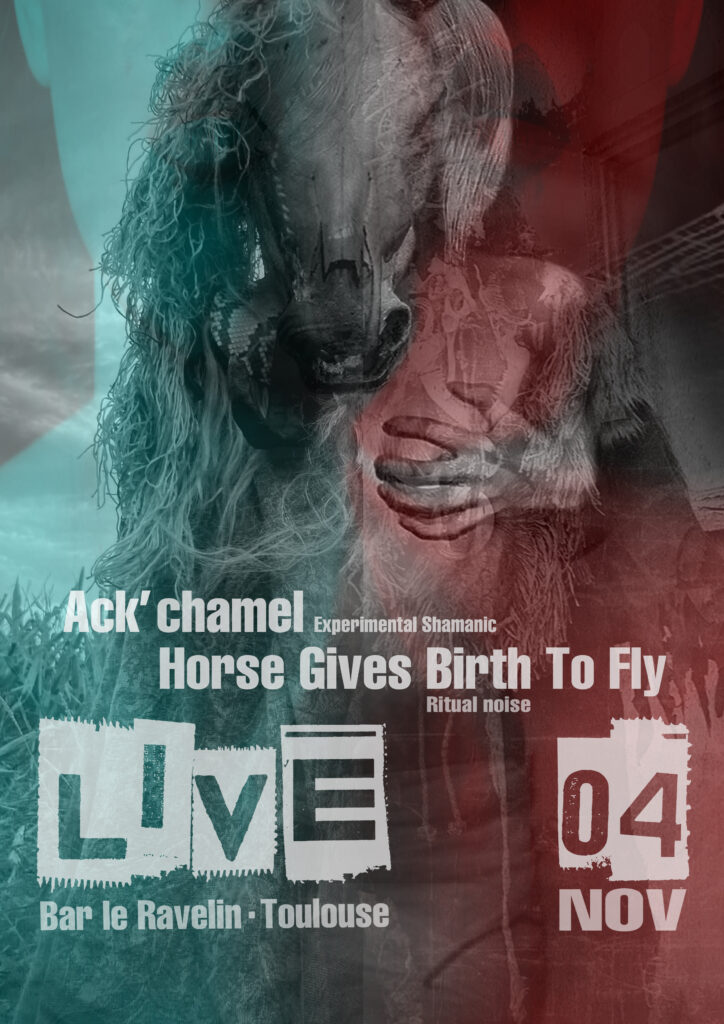 Ack chamel_Horse gives birth to fly_live_Bar le Ravelin_Toulouse_04 nov 24_Web